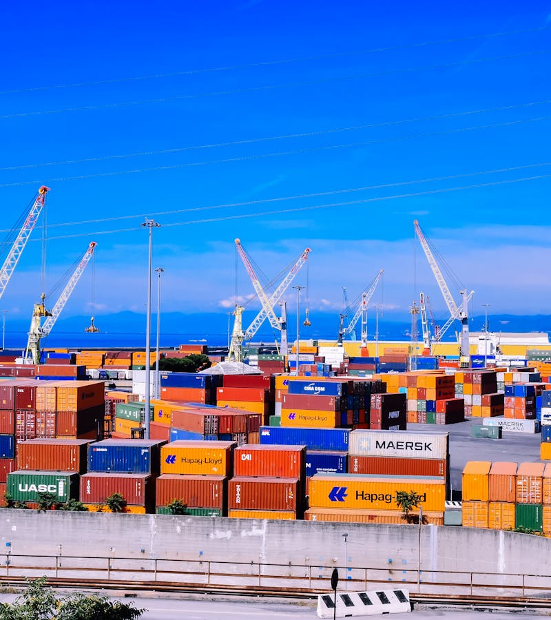 pexels-photo-13025947